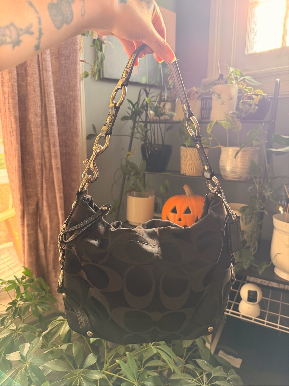 Coach Carly Signature Hobo Bag